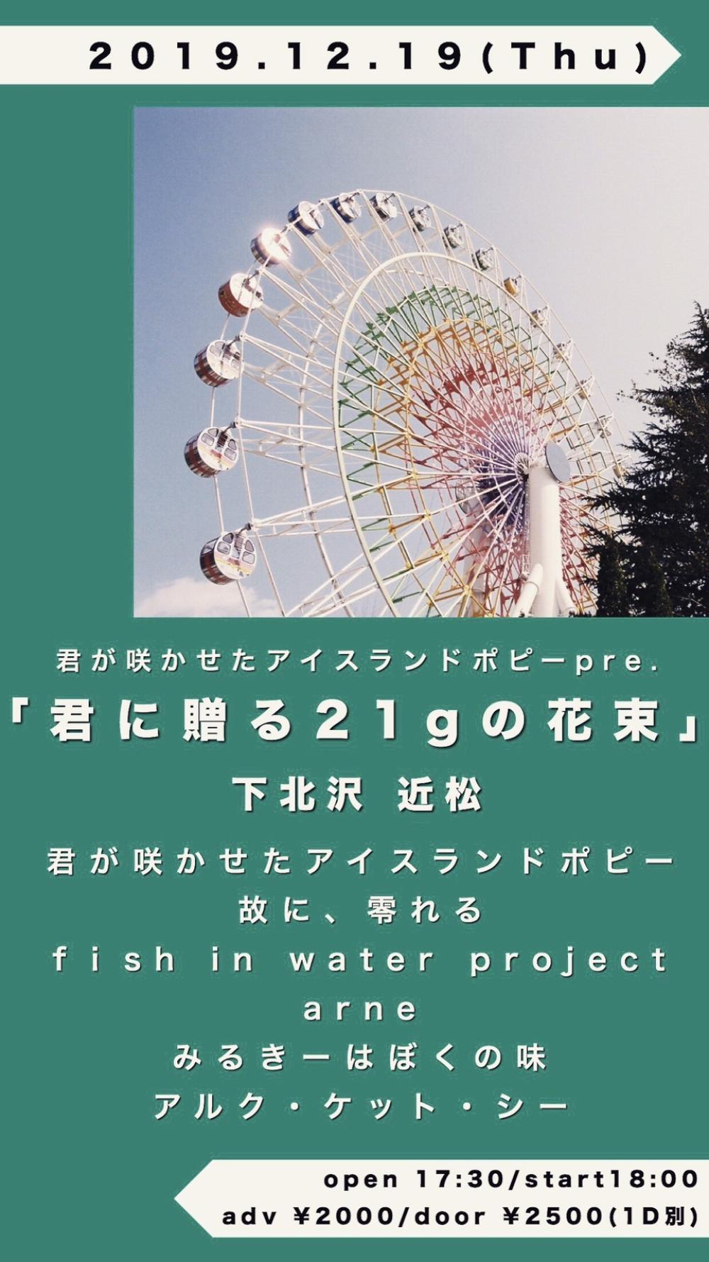 君が咲かせたアイスランドポピーpre.「君に贈る21gの花束」