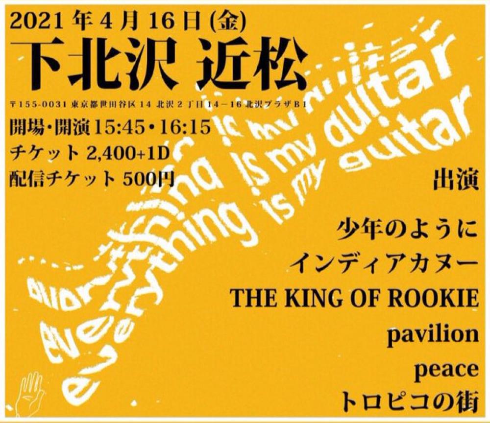 everything is my guitar