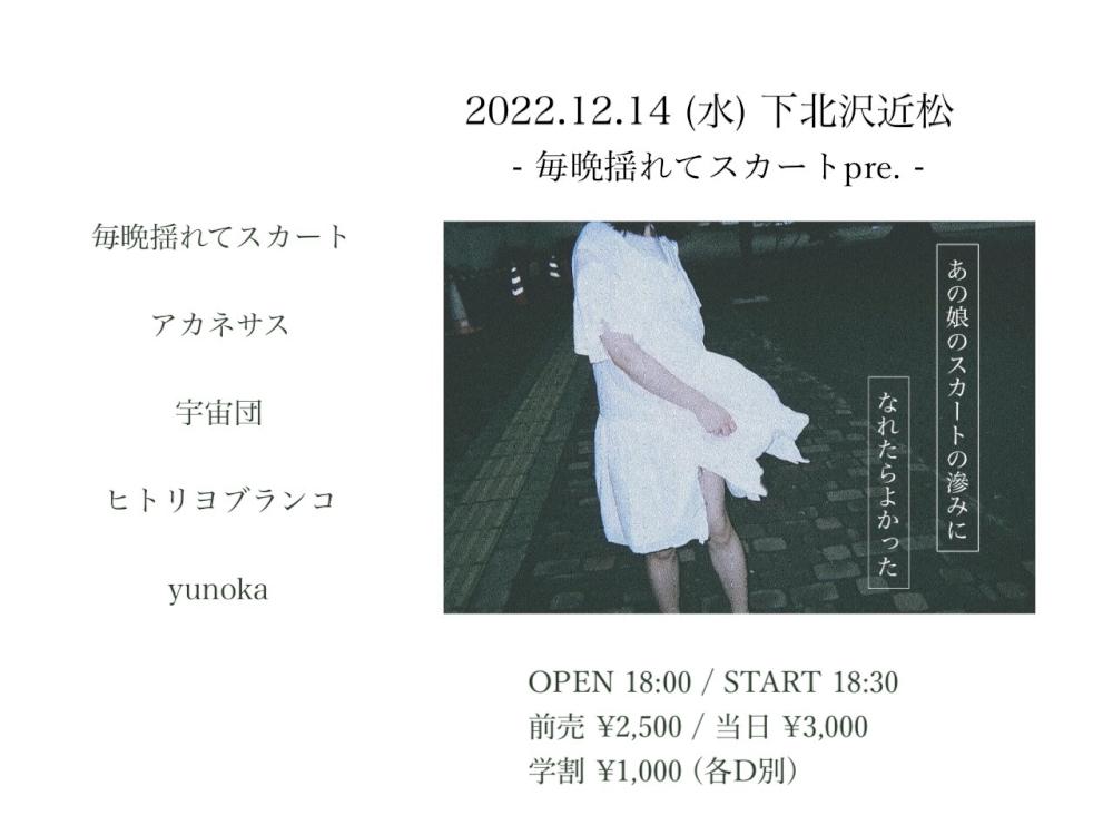 毎晩揺れてスカート pre.『あの娘のスカートの滲みになれたらよかった』