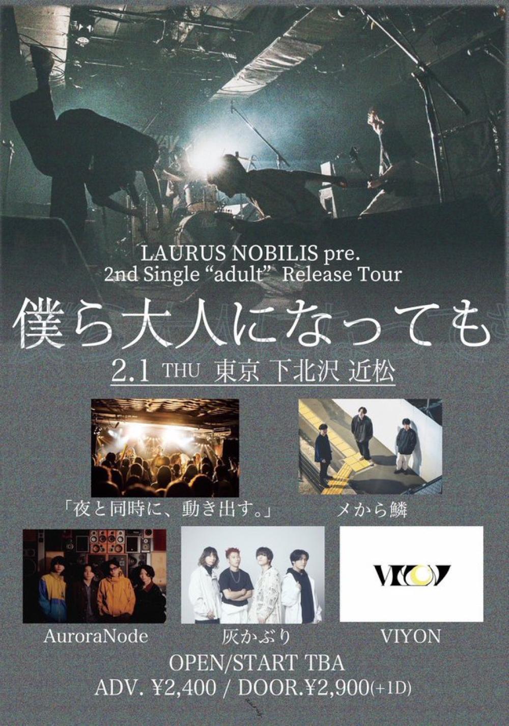 LAURUS NOBILIS Pre. 僕ら大人になっても