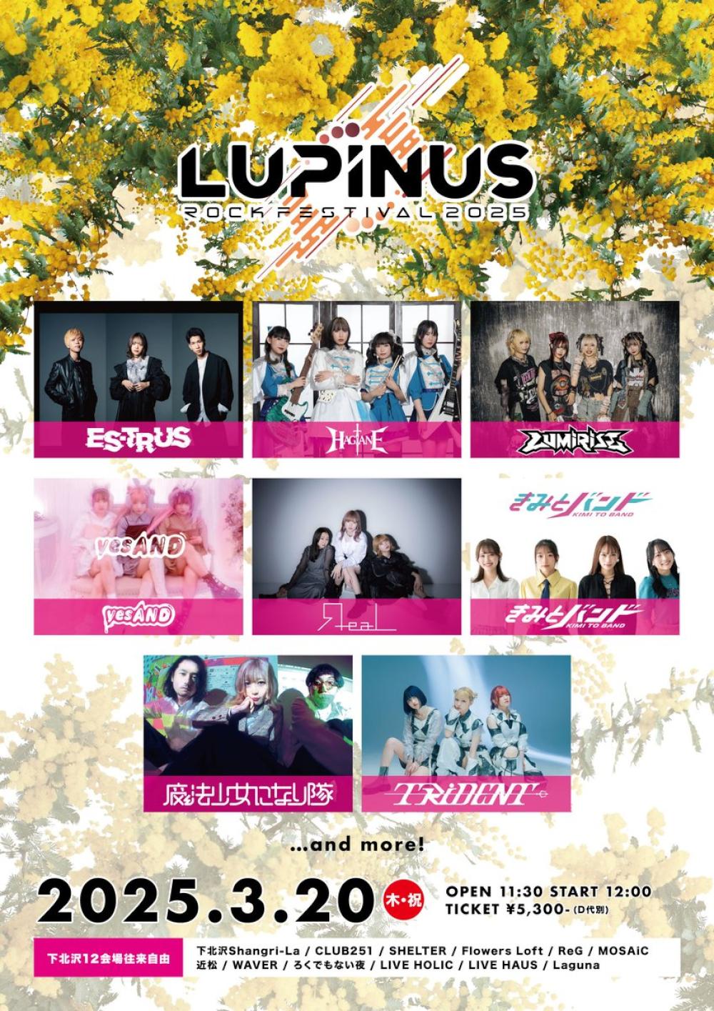 Girl's UP!!!&ファミメ!pre. LUPINUS ROCK FESTIVAL 2025