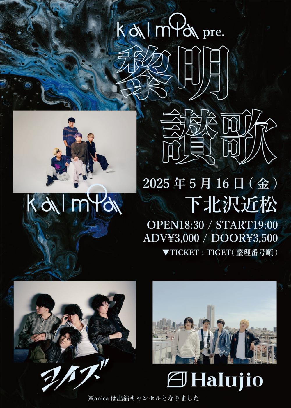 kalmia pre. 黎明讃歌