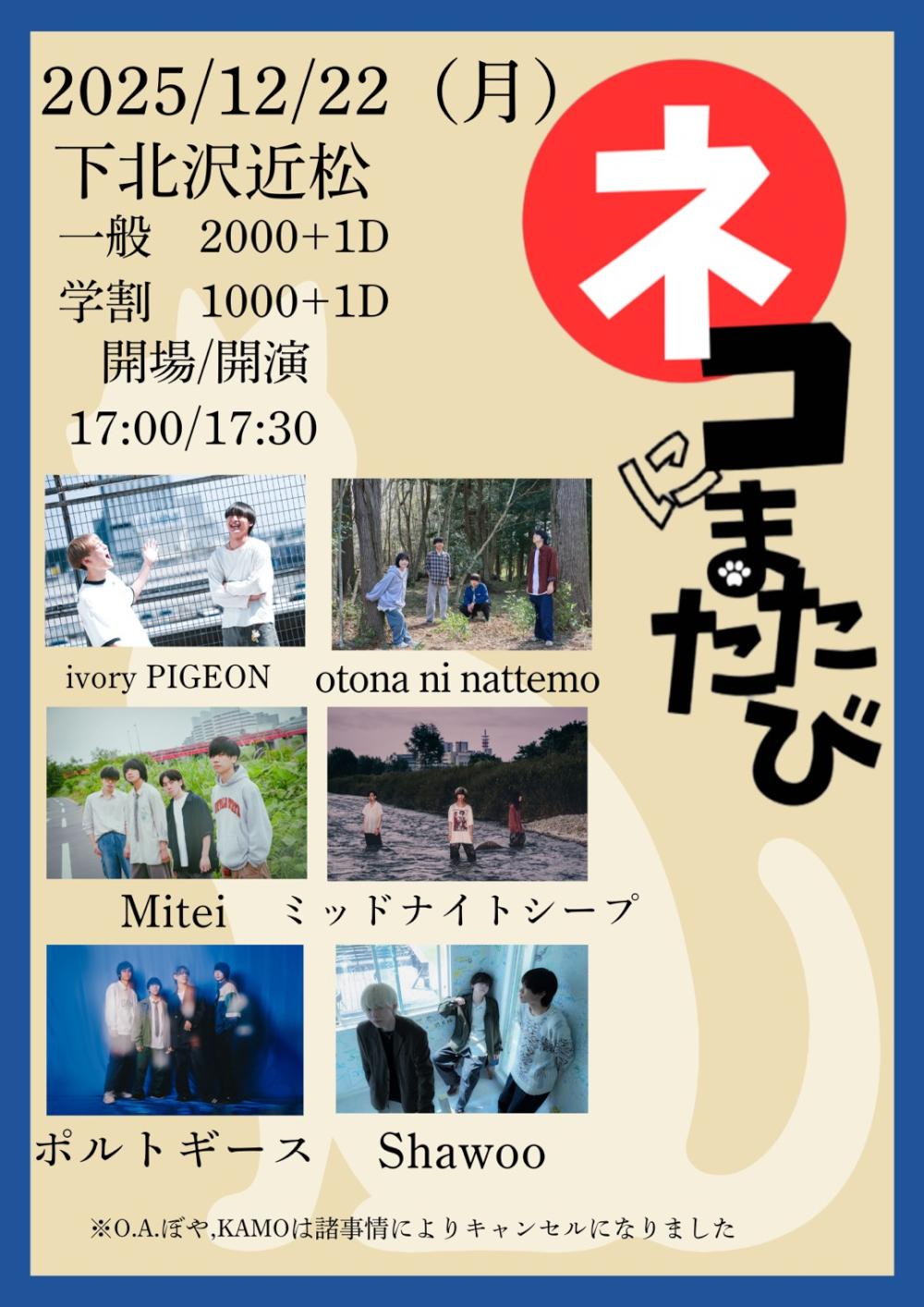 『 ネコにまたたび 』