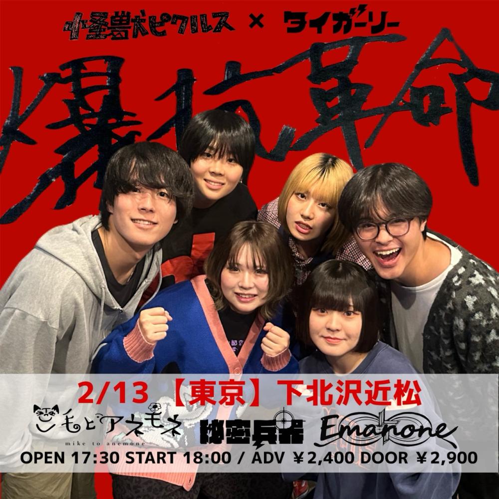 怪獣ピクルス × タイガーリー 『爆抗革命』